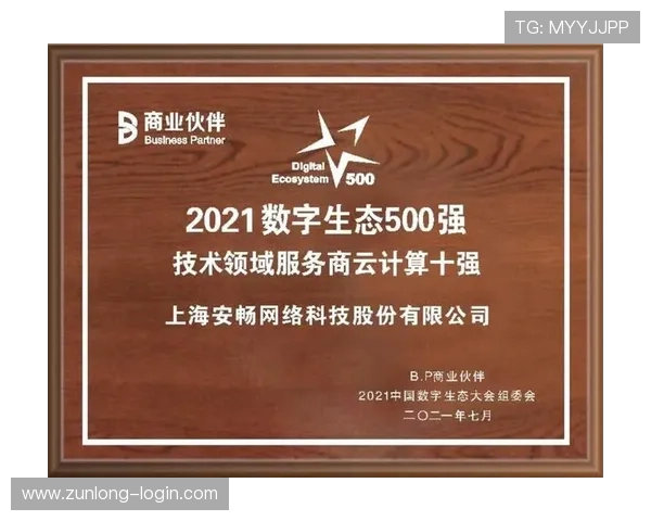 开云体育备用平台技术优化与维护指南确保平台持续高效稳定运行