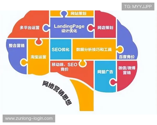 开云官网案例：深入分析品牌官网设计与用户体验优化