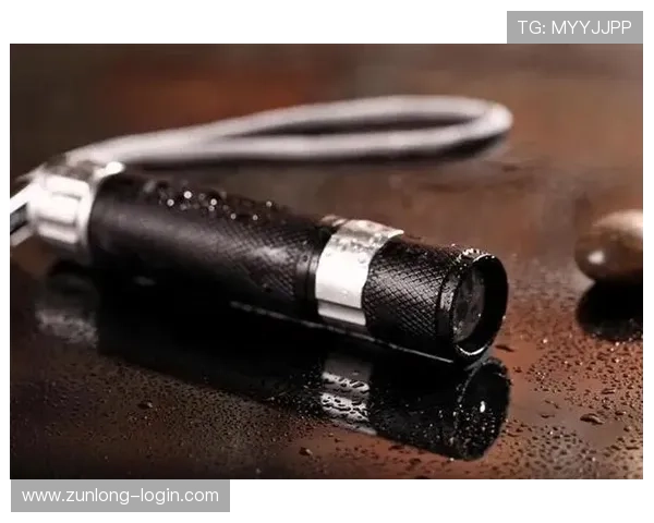 探索尊龙凯时官网app的精彩功能与使用技巧 探索尊龙凯时官网app的精彩功能与使用技巧